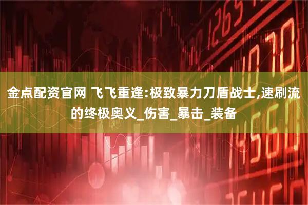金点配资官网 飞飞重逢:极致暴力刀盾战士,速刷流的终极奥义_伤害_暴击_装备