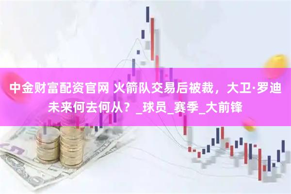 中金财富配资官网 火箭队交易后被裁，大卫·罗迪未来何去何从？_球员_赛季_大前锋